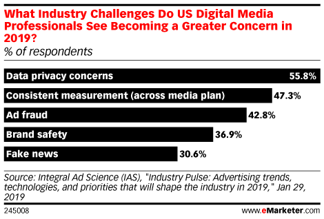 What Industry Challenges Do US Digital Media Professionals See Becoming a Greater Concern in 2019? (% of respondents)