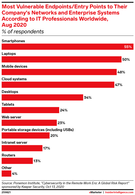 Most Vulnerable Endpoints/Entry Points to Their Company's Networks and Enterprise Systems According to IT Professionals Worldwide, Aug 2020 (% of respondents)